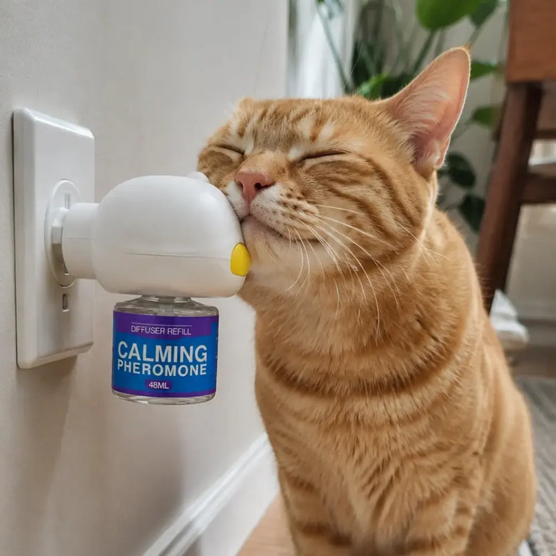 Cat calming diffuser lifestyle mobile