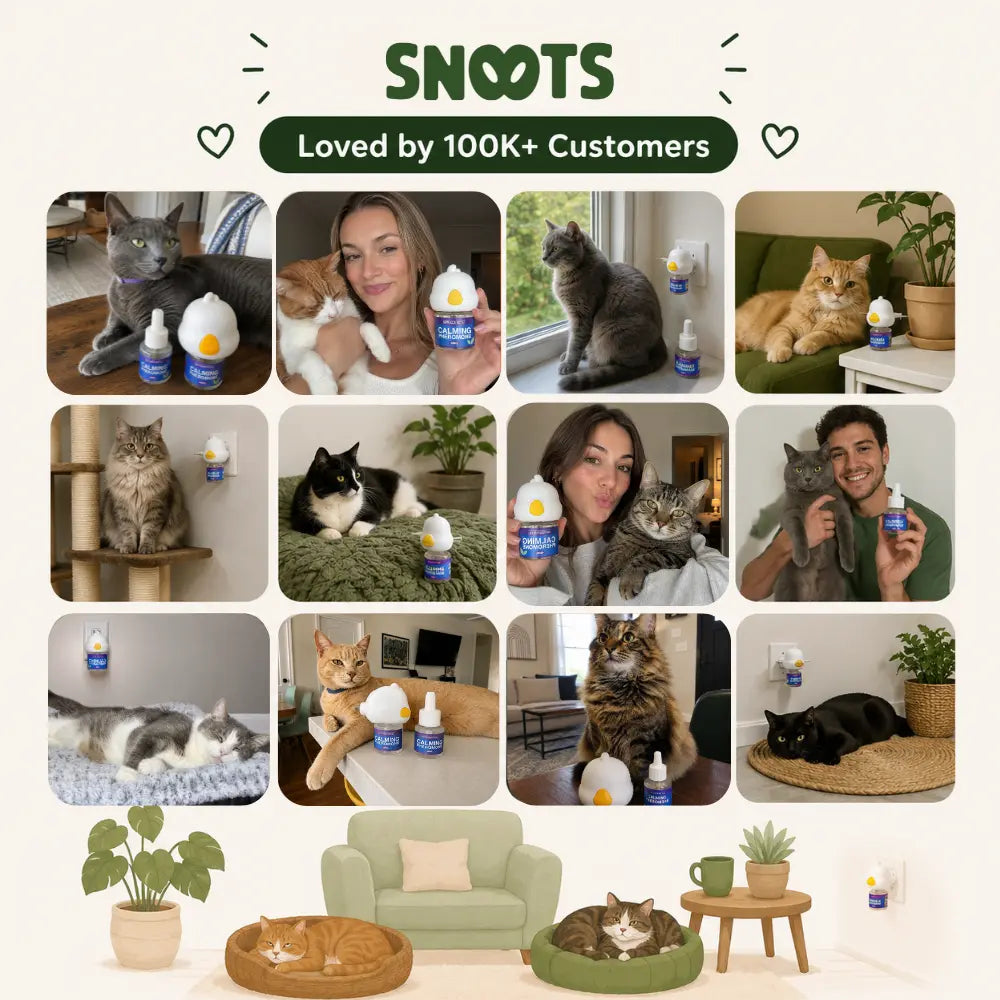 Calming Cat Refills